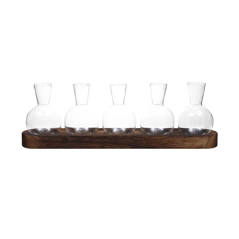 Modern Glass Plant Terrarium with Wooden Tray