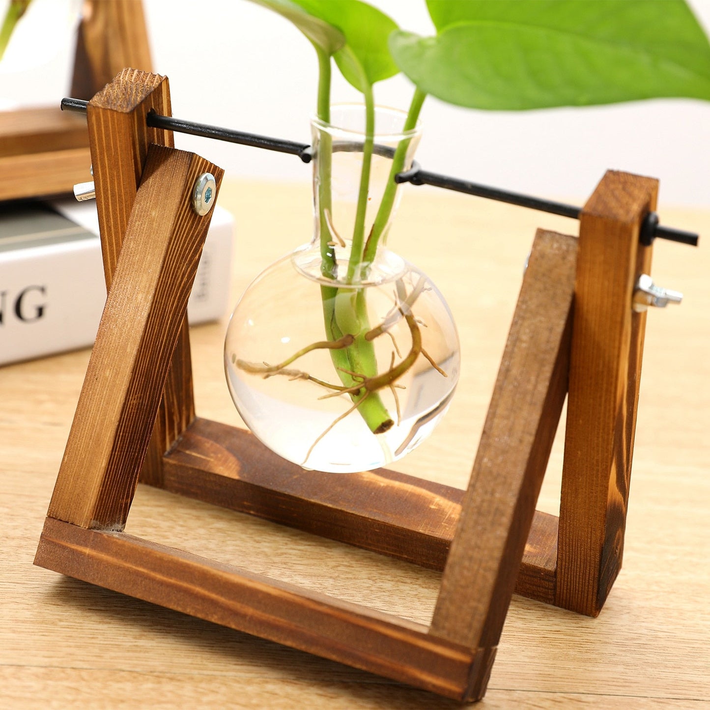 Trish n Bobs Pots & Planters Propagation Station Planter Terrarium Vase
