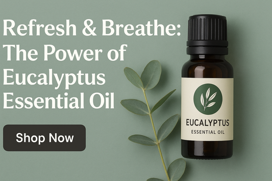 🌿 Refresh & Breathe: The Power of Eucalyptus Essential Oil