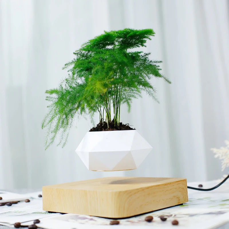 Levitating Planter Pot