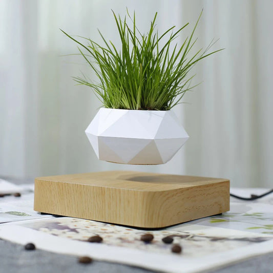 Levitating Planter Pot