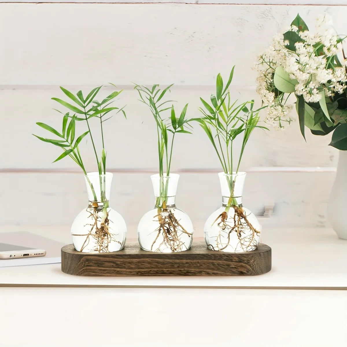 Modern Glass Plant Terrarium with Wooden Tray