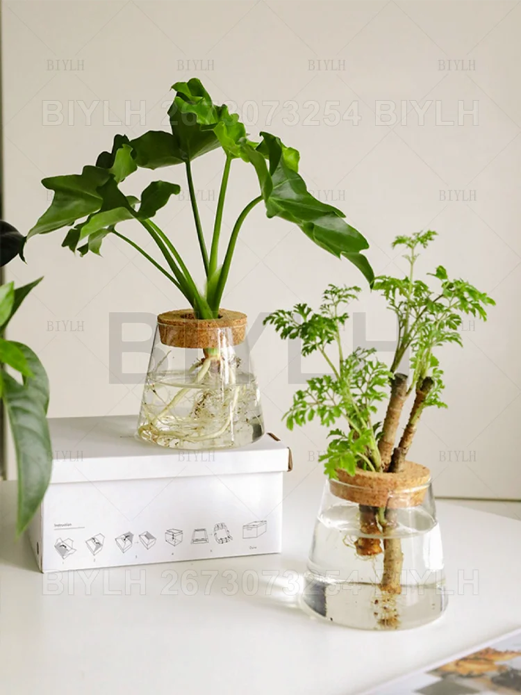Volcanic Hydroponic Glass Vase – Modern Desktop Planter with Bamboo Base