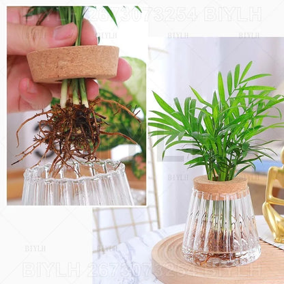 Volcanic Hydroponic Glass Vase – Modern Desktop Planter with Bamboo Base