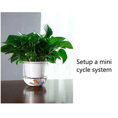 Modern Self-Watering Hanging Planter – Clear PET Plastic Indoor Flower Pot