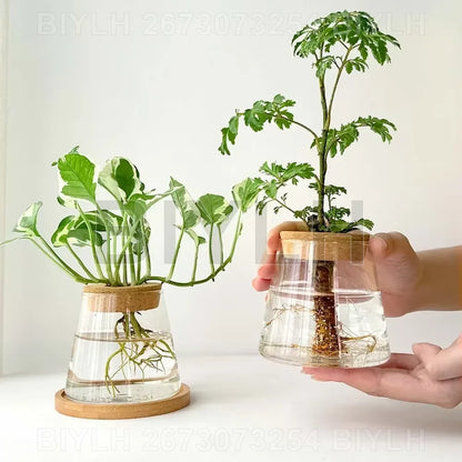 Volcanic Hydroponic Glass Vase – Modern Desktop Planter with Bamboo Base