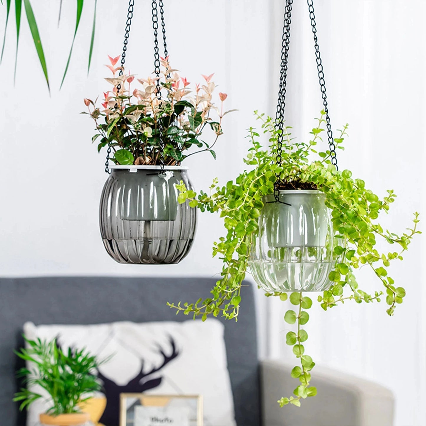 Modern Self-Watering Hanging Planter – Clear PET Plastic Indoor Flower Pot