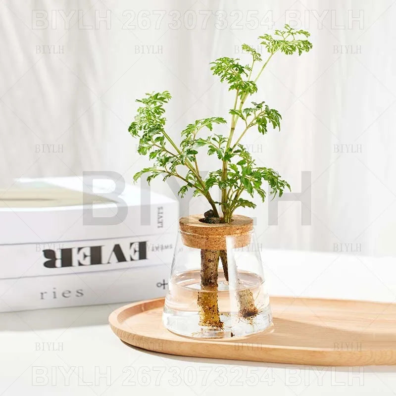 Volcanic Hydroponic Glass Vase – Modern Desktop Planter with Bamboo Base