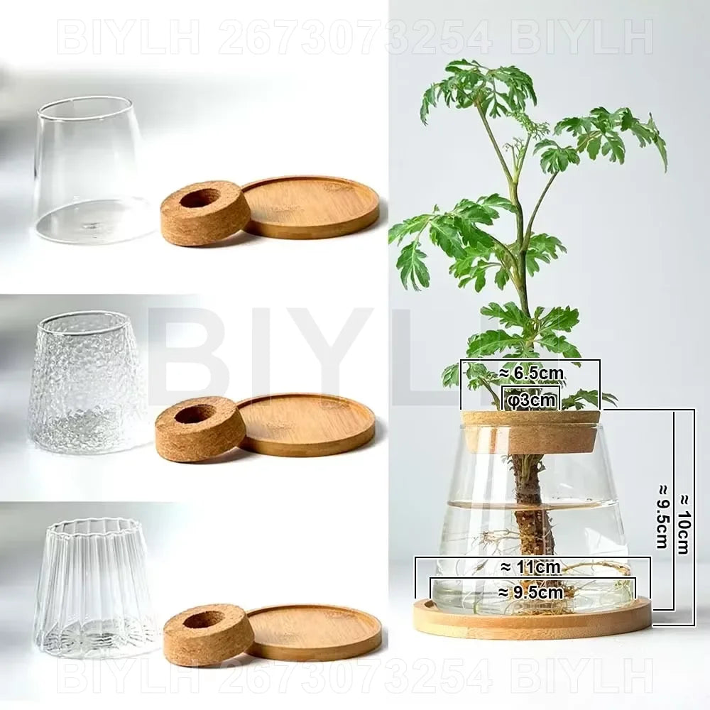Volcanic Hydroponic Glass Vase – Modern Desktop Planter with Bamboo Base