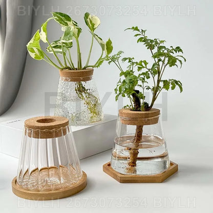 Volcanic Hydroponic Glass Vase – Modern Desktop Planter with Bamboo Base