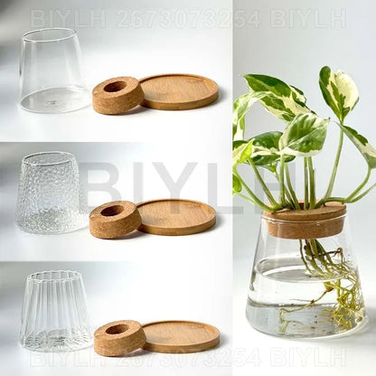 Volcanic Hydroponic Glass Vase – Modern Desktop Planter with Bamboo Base