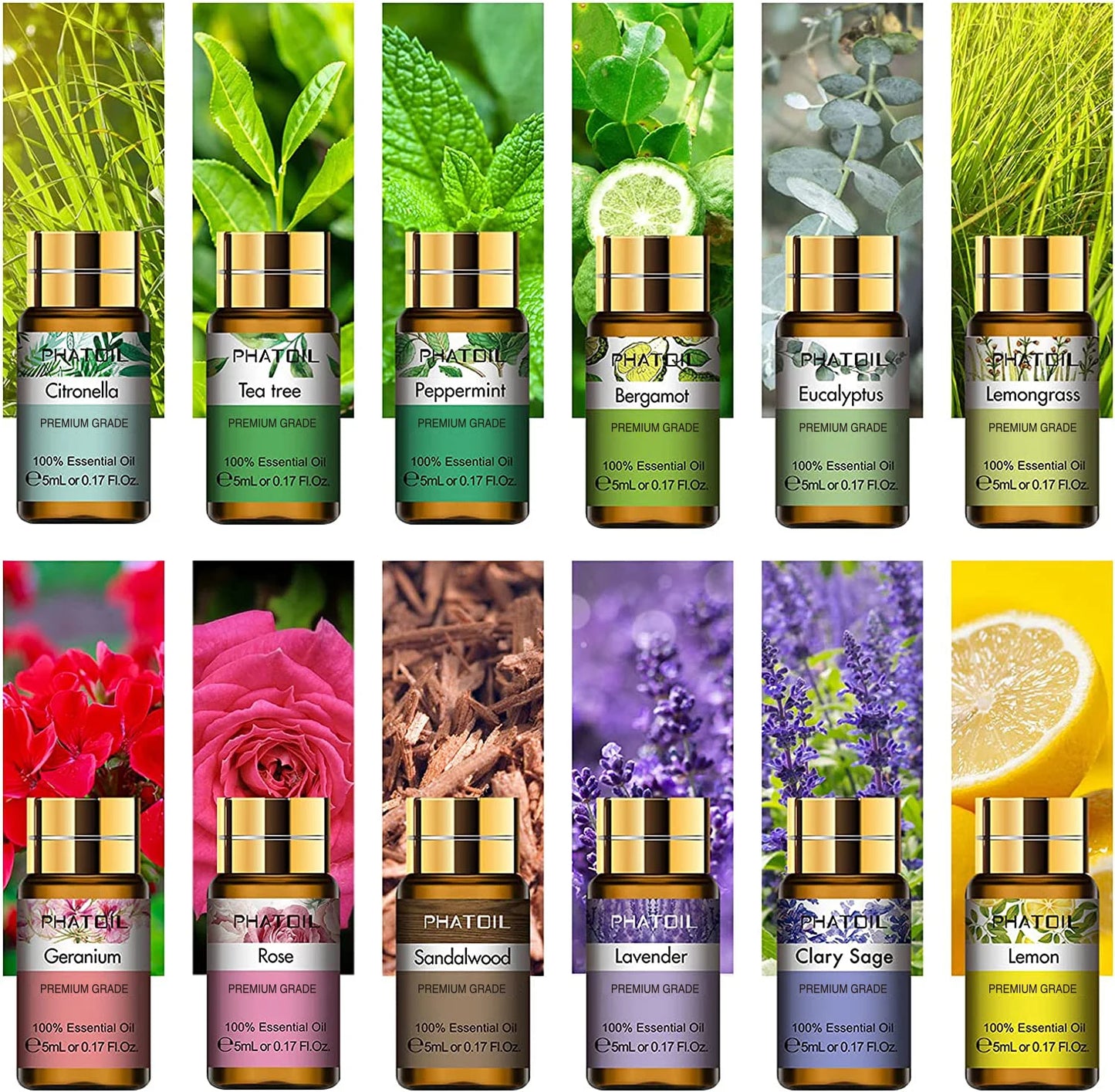 PHATOIL Essential Oils Combo - 12 Fragrant Oils for Home & Body!