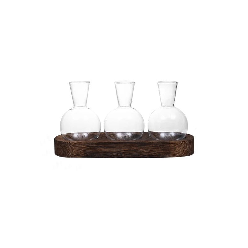 Modern Glass Plant Terrarium with Wooden Tray