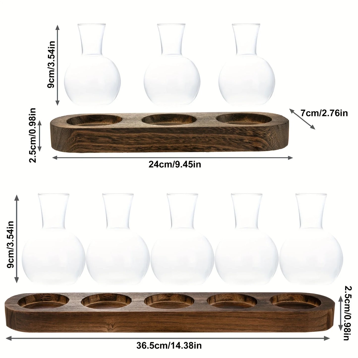 Modern Glass Plant Terrarium with Wooden Tray