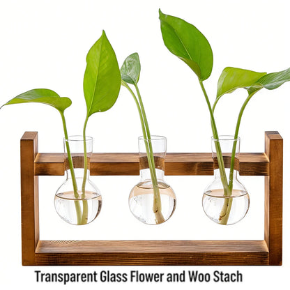 Boho Hydroponic Glass Vase & Wooden Tray - Tabletop Propagation Station