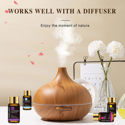 MAYJAM Pure Natural Plant Essential Oils Large Set for Humidifier Diffuser