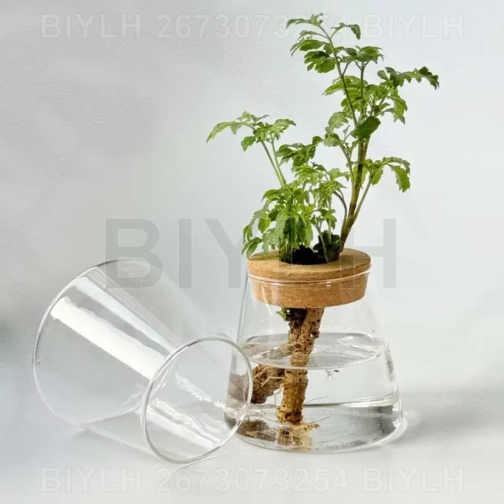 Volcanic Hydroponic Glass Vase – Modern Desktop Planter with Bamboo Base