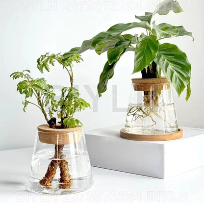 Volcanic Hydroponic Glass Vase – Modern Desktop Planter with Bamboo Base