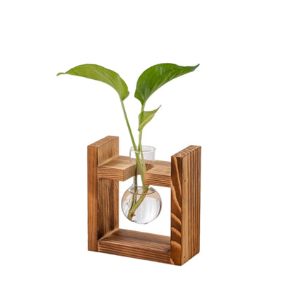 Boho Hydroponic Glass Vase & Wooden Tray - Tabletop Propagation Station