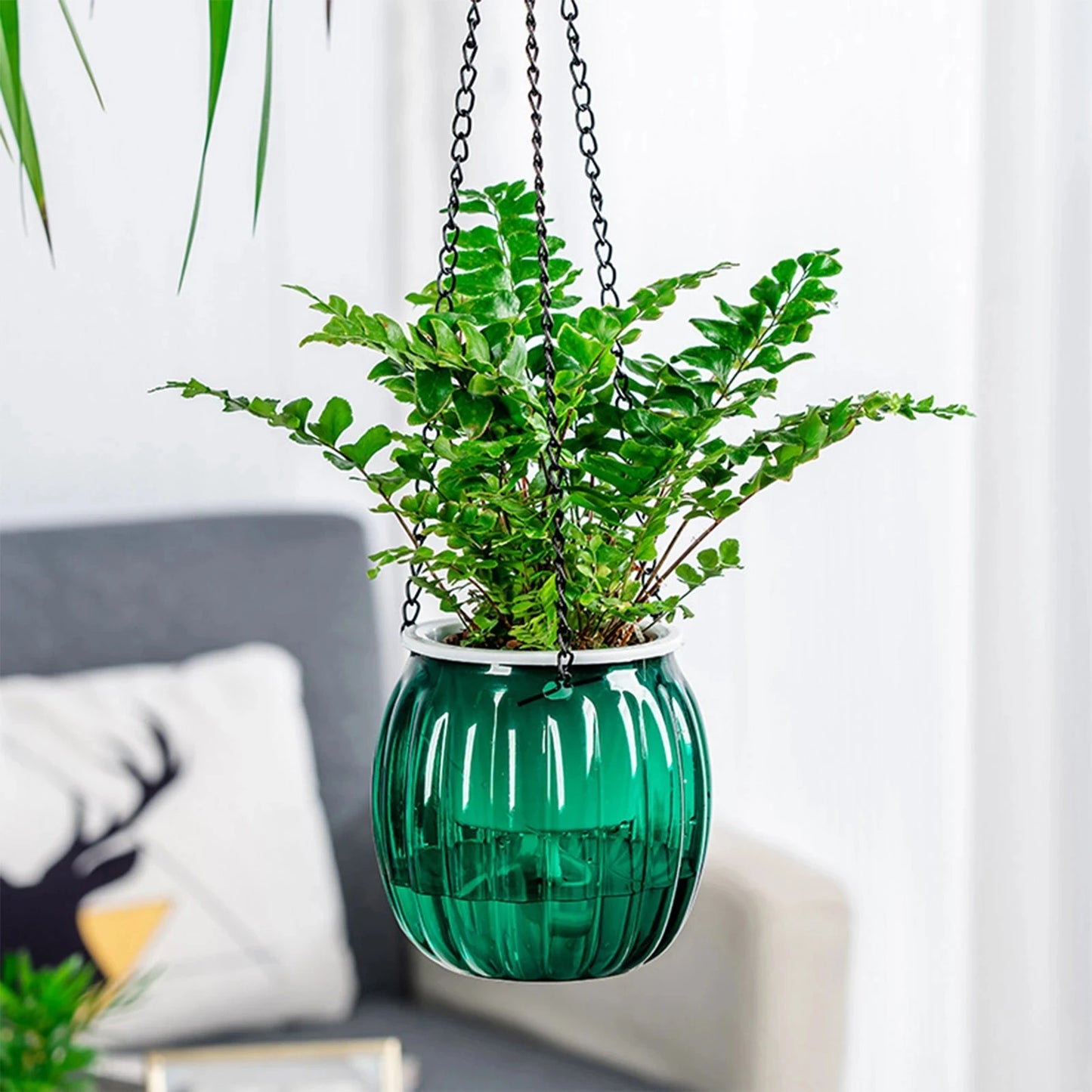 Modern Self-Watering Hanging Planter – Clear PET Plastic Indoor Flower Pot