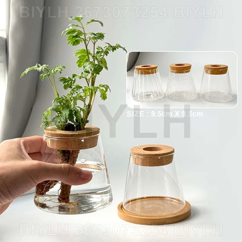 Volcanic Hydroponic Glass Vase – Modern Desktop Planter with Bamboo Base