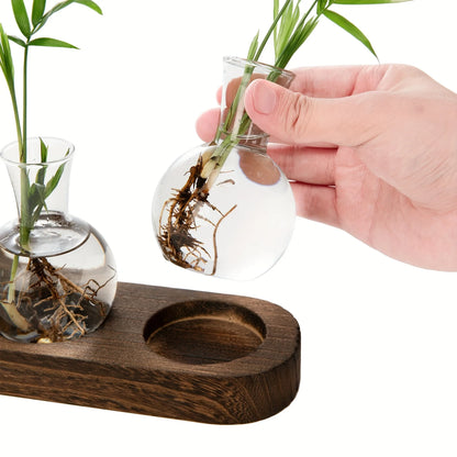 Modern Glass Plant Terrarium with Wooden Tray