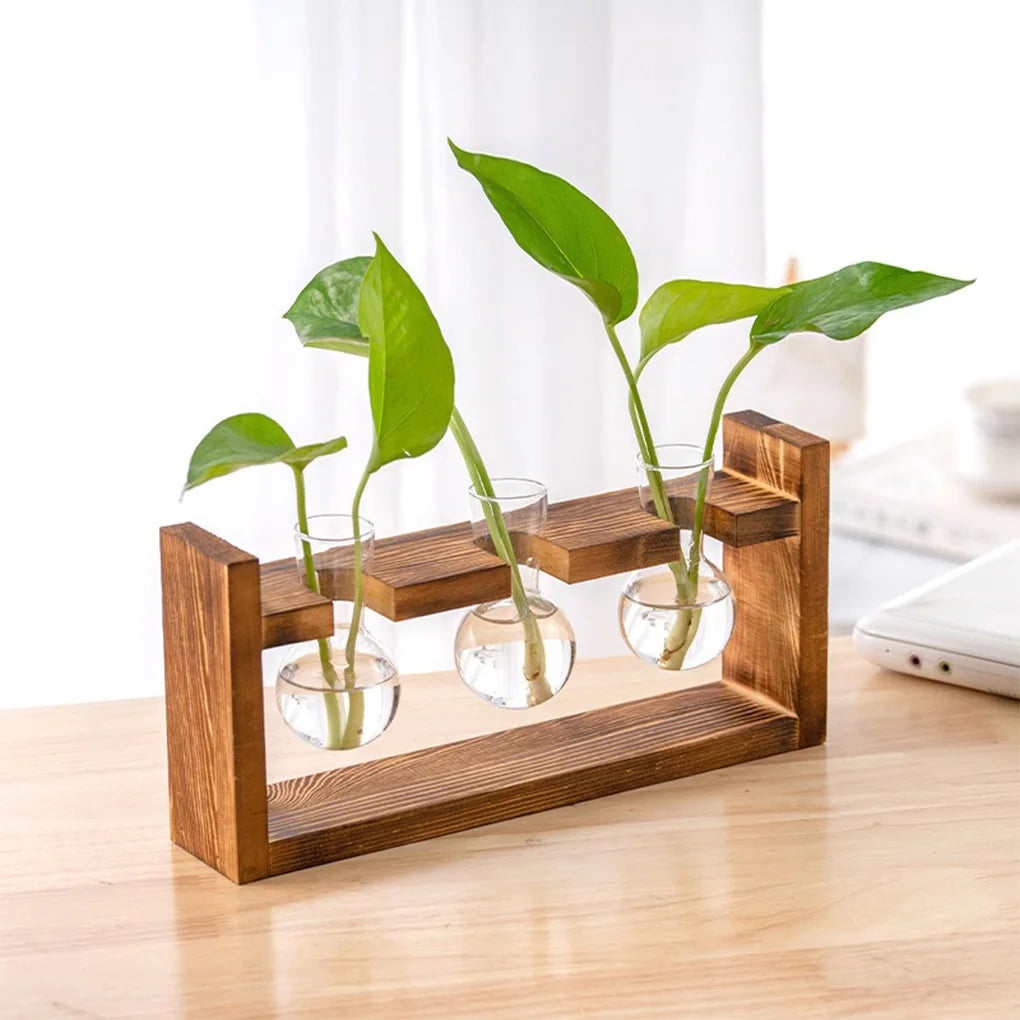 Boho Hydroponic Glass Vase & Wooden Tray - Tabletop Propagation Station