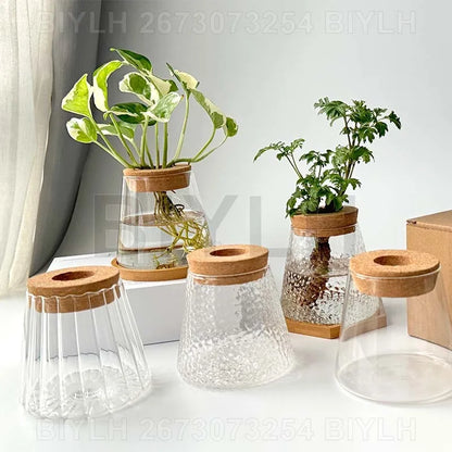 Volcanic Hydroponic Glass Vase – Modern Desktop Planter with Bamboo Base