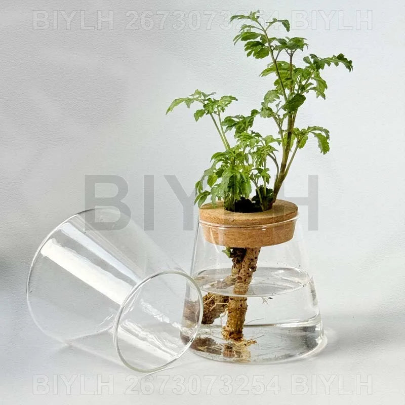 Volcanic Hydroponic Glass Vase – Modern Desktop Planter with Bamboo Base