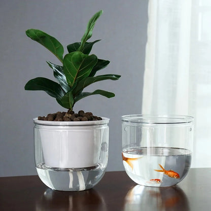 Modern Self-Watering Hanging Planter – Clear PET Plastic Indoor Flower Pot