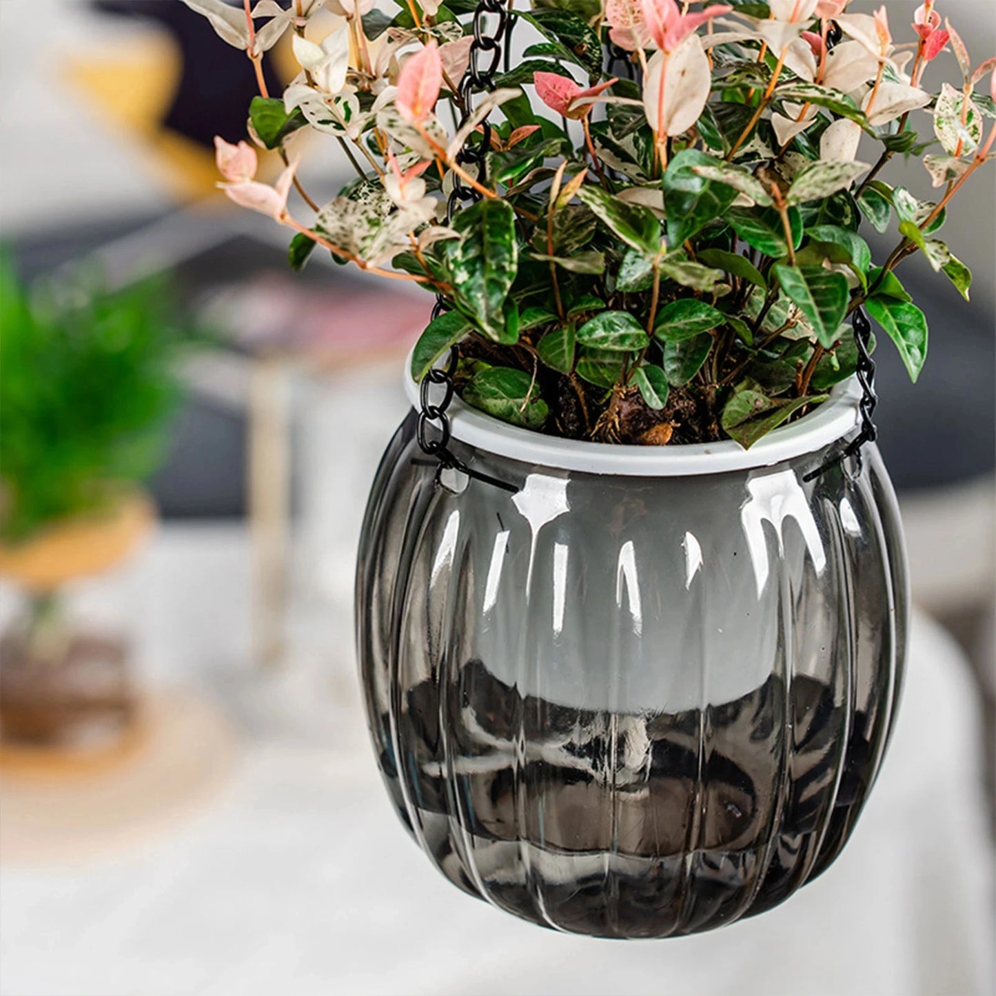 Modern Self-Watering Hanging Planter – Clear PET Plastic Indoor Flower Pot