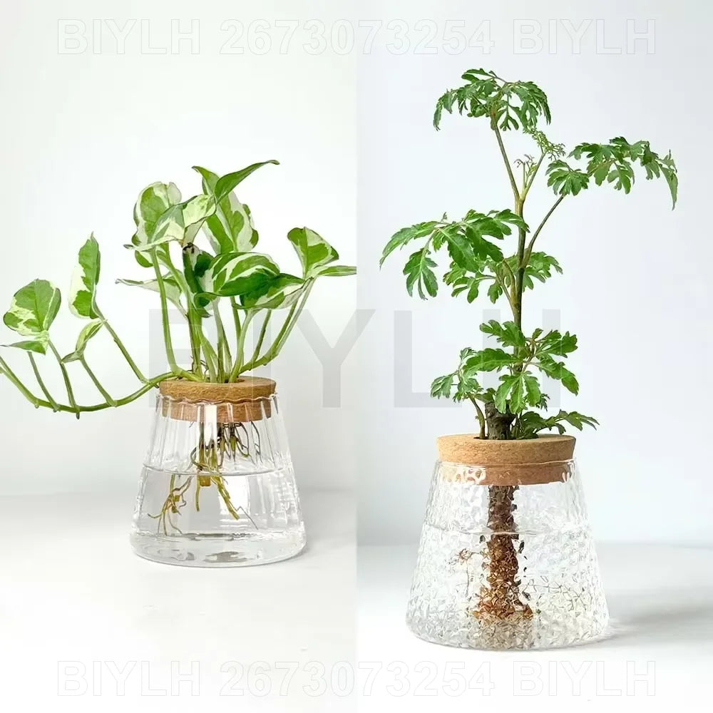 Volcanic Hydroponic Glass Vase – Modern Desktop Planter with Bamboo Base