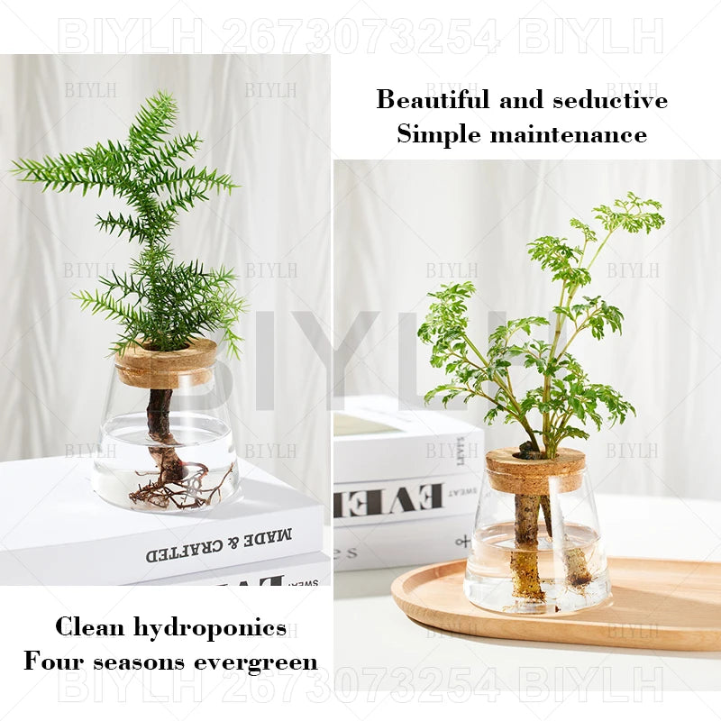 Volcanic Hydroponic Glass Vase – Modern Desktop Planter with Bamboo Base