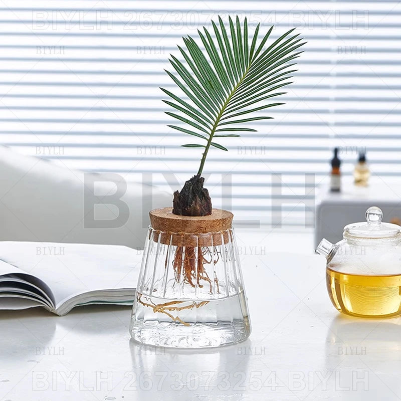 Volcanic Hydroponic Glass Vase – Modern Desktop Planter with Bamboo Base