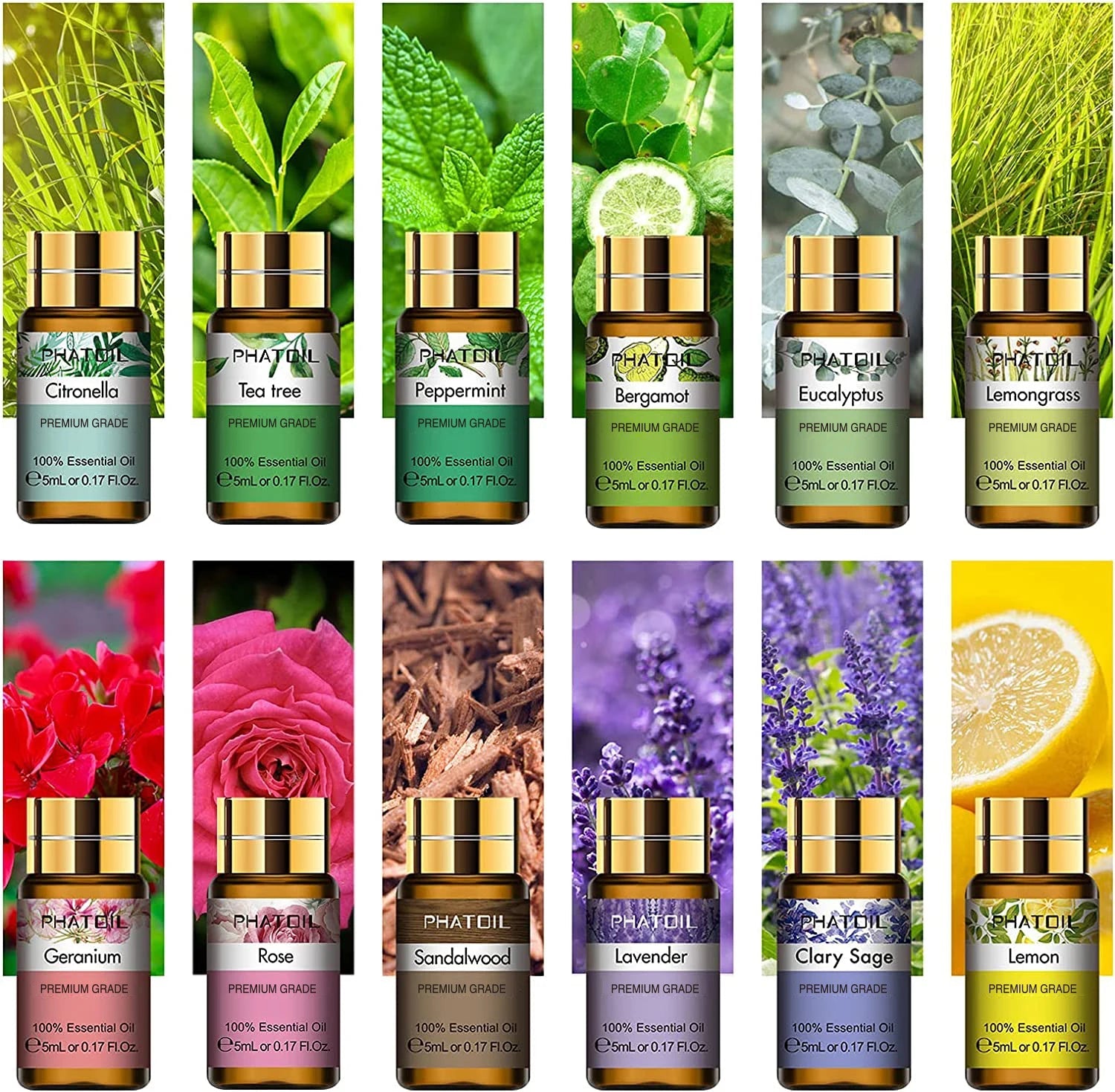 Trish n Bobs oil 12 piece Set / 5ml PHATOIL Essential Oils Combo - 12 Fragrant Oils for Home & Body!