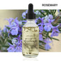 Trish n Bobs oil singles Rosemary / 60ml 60ml Pure Essential Oils with Dropper – Lavender, Eucalyptus, Vanilla & More for Aromatherapy, Massage, and DIY Projects