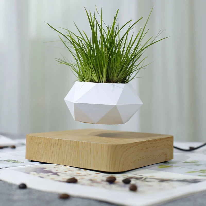 Trish n Bobs Pots & Planters Light Wood Levitating Planter Pot