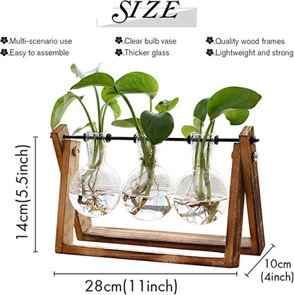 Trish n Bobs Pots & Planters Terrarium Propagation Station