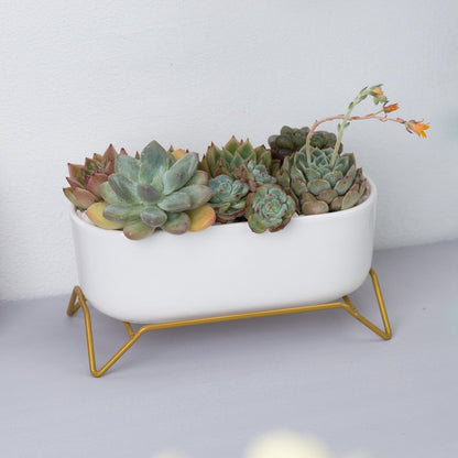 White Ceramic Flowerpot with Gold Metal Stand