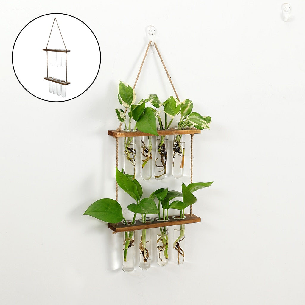 Wall Hanging Flower Terrarium