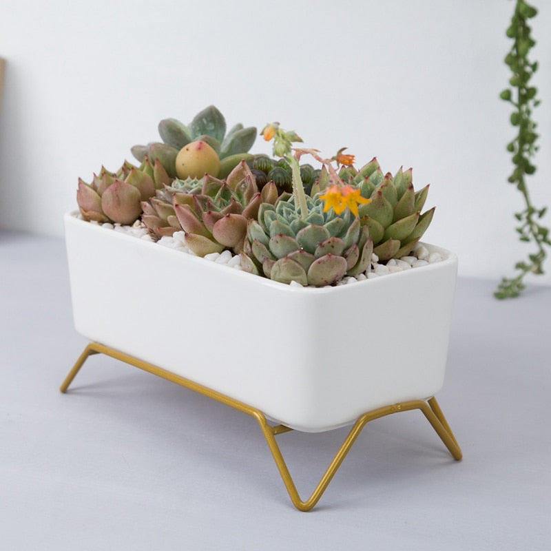 White Ceramic Flowerpot with Gold Metal Stand