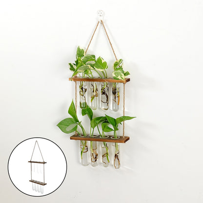 Wall Hanging Flower Terrarium