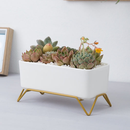 White Ceramic Flowerpot with Gold Metal Stand