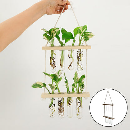 Wall Hanging Flower Terrarium