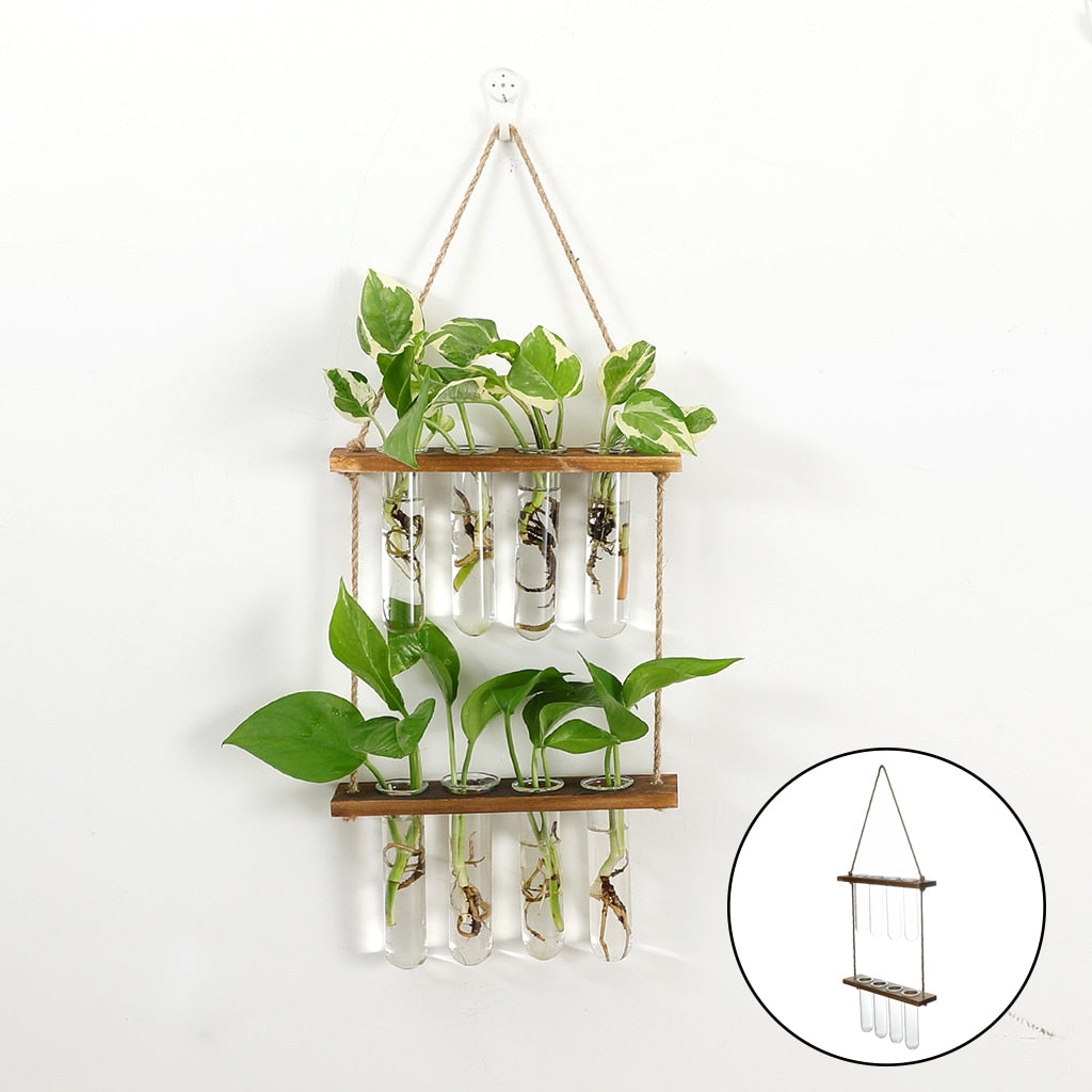 Wall Hanging Flower Terrarium